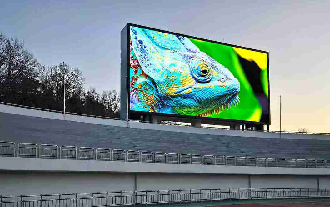 Vibrant chameleon displayed on billboard
