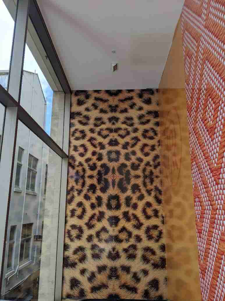Leopard print feature wall graphic installed in commercial interior