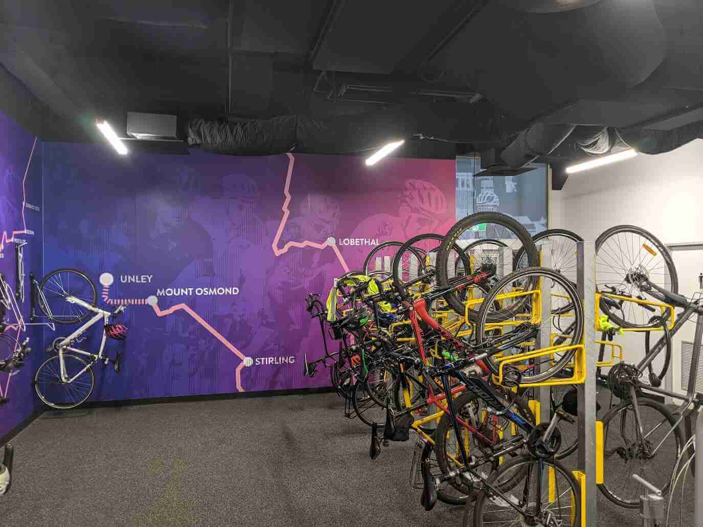 Pink and purple wall graphic featuring cycling route and bicycle storage area